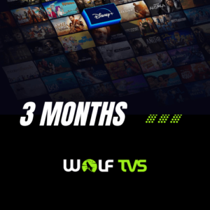 3 Months IPTV Subscription